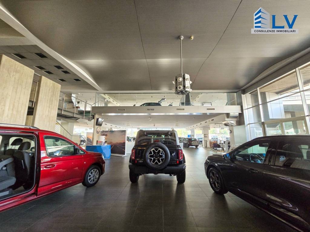 Immobile a Frosinone - Foto 5