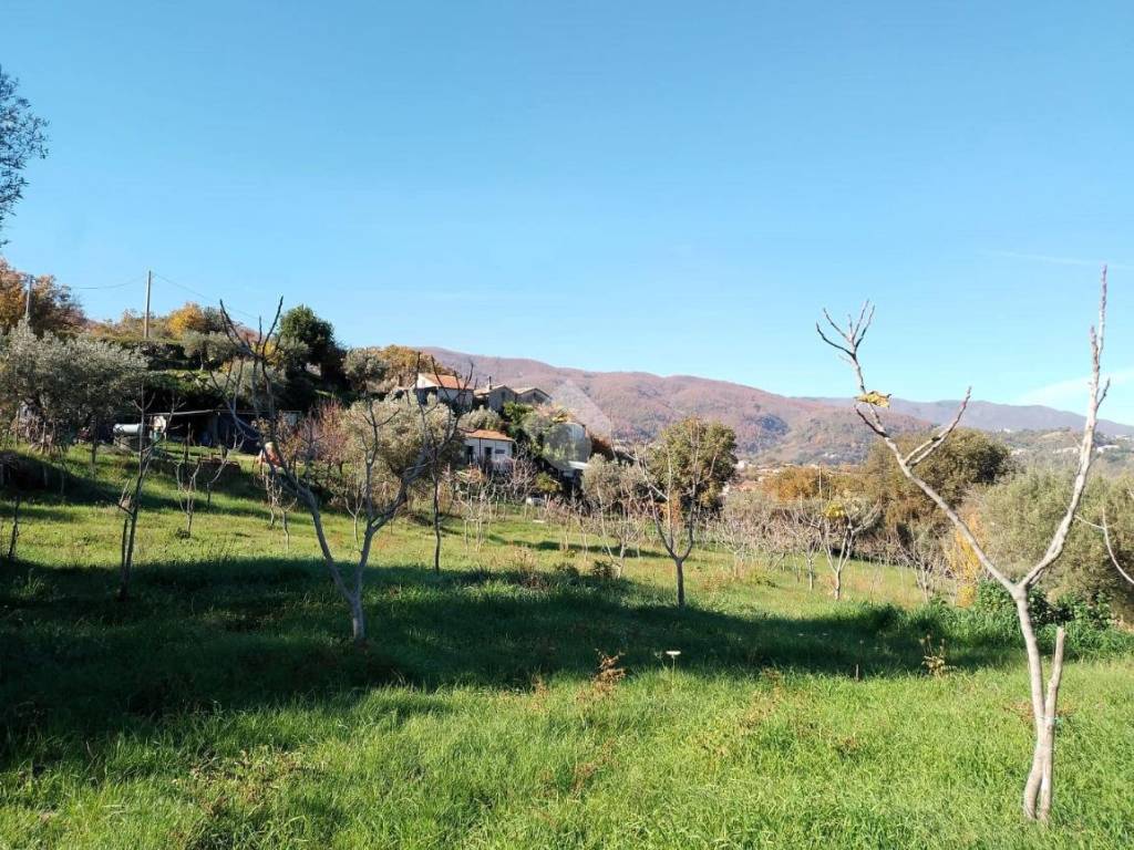 Terreno a Castrolibero in Via Leandro - Foto 2