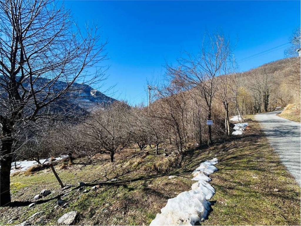 Terreno a Ormea in Frazione Eca - Foto 2