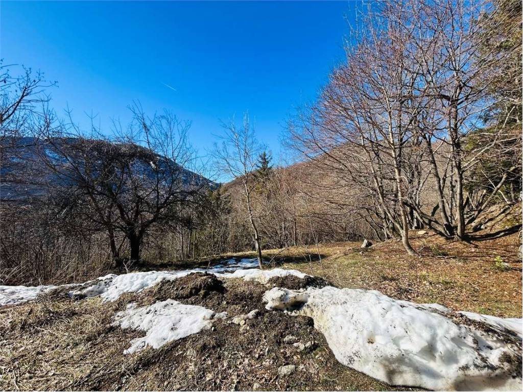 Terreno a Ormea in Frazione Eca - Foto 3