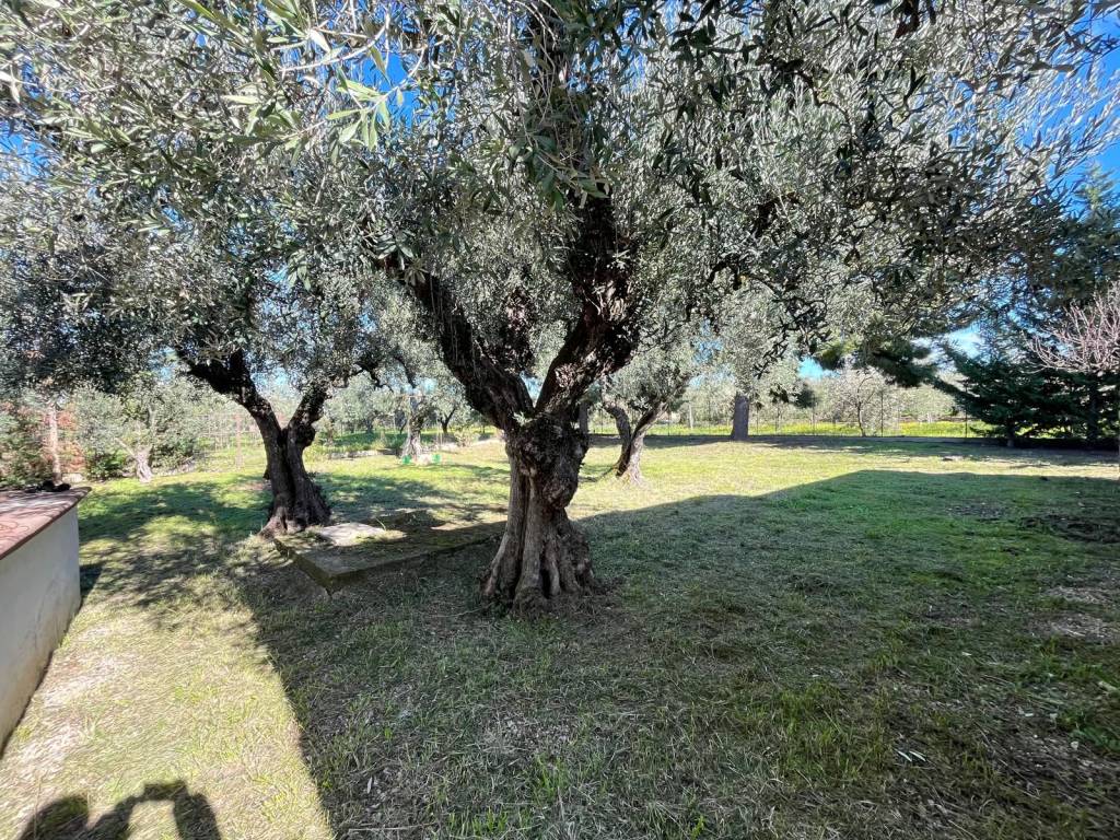 Villa a Cerignola in SP77 - Foto 2