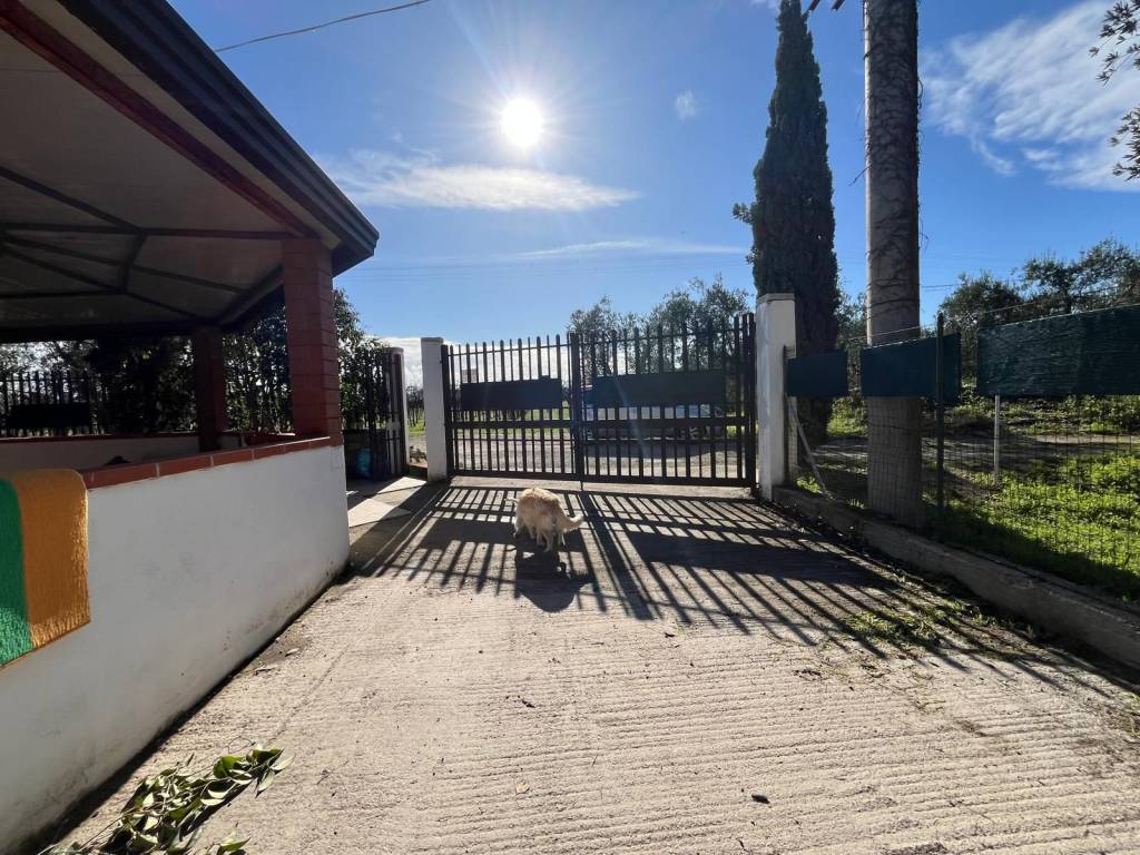 Villa a Cerignola in SP77 - Foto 4