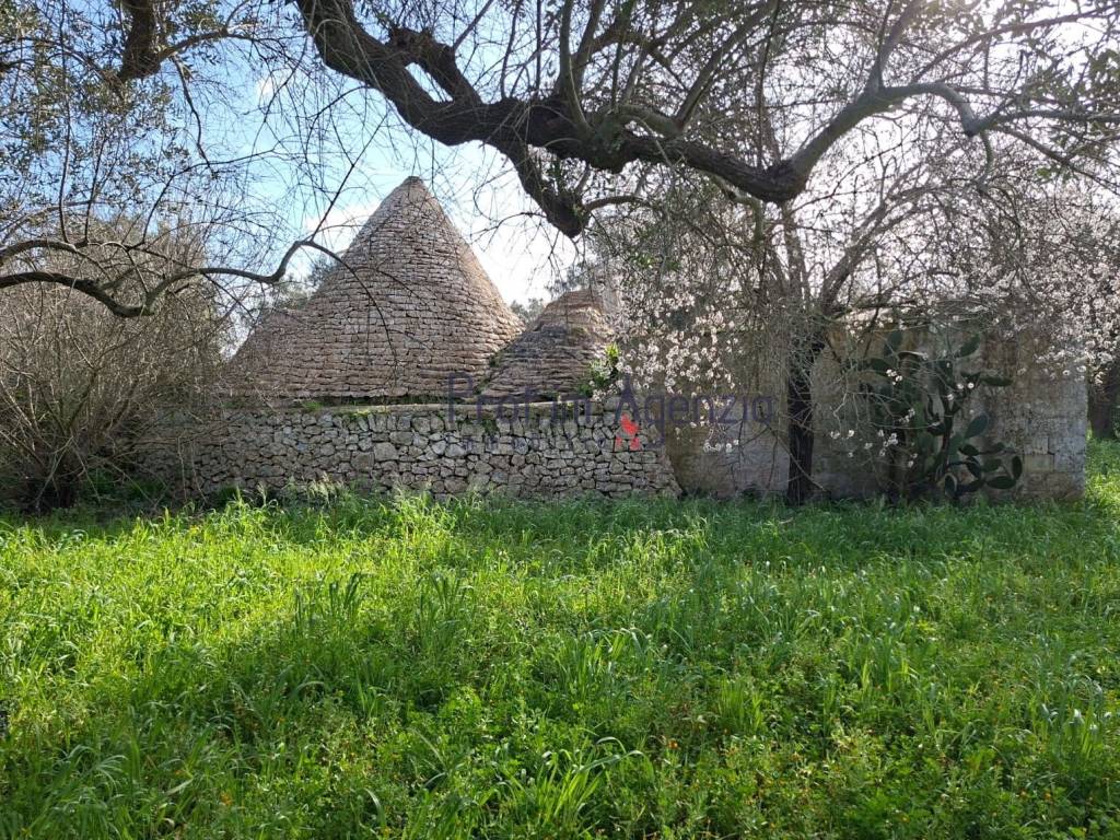 Rustico / casale a San michele salentino - Foto 4