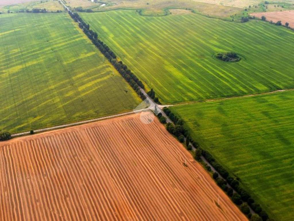 Terreno a Buscate in Via Roma - Foto 2