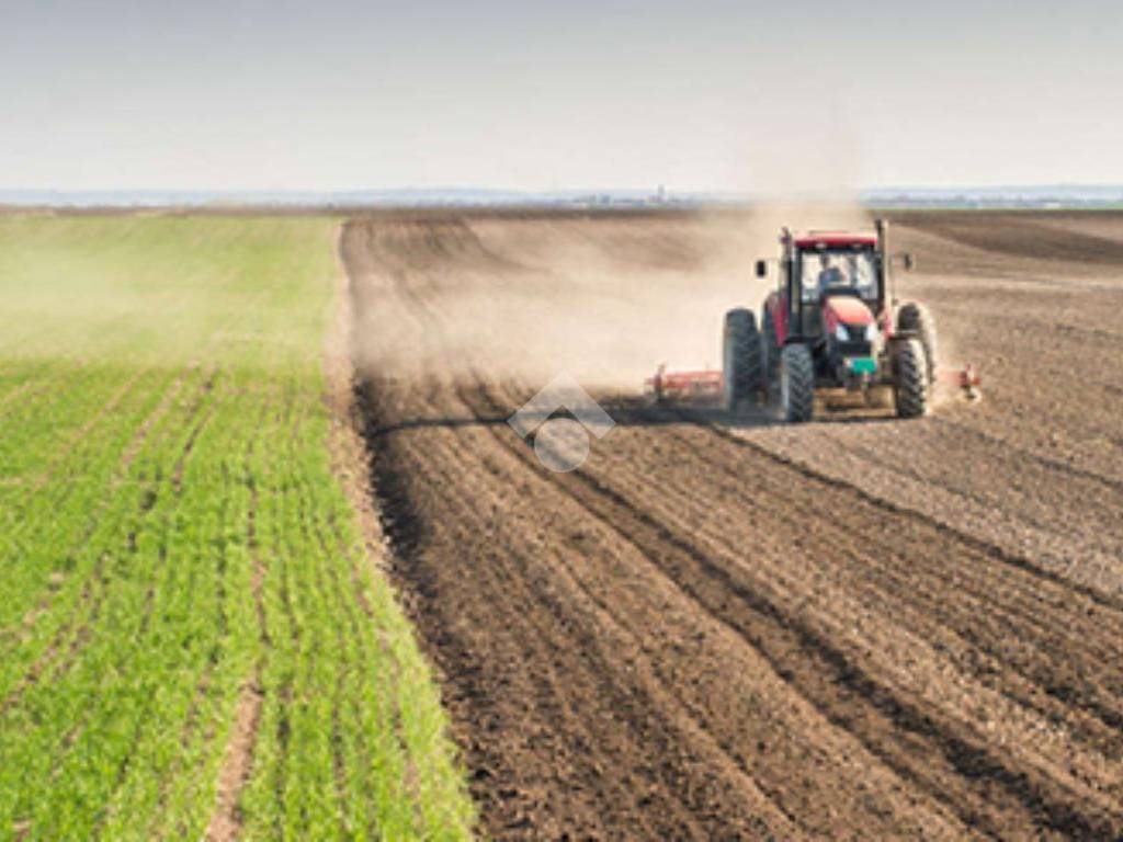 Terreno a Buscate in Via Roma - Foto 3