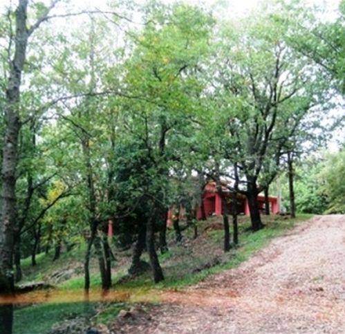 Villa a Sorano - Foto 3