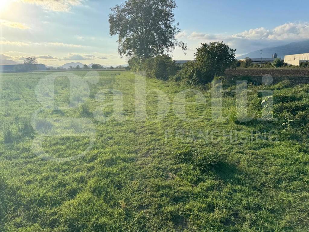 Terreno a Alife in Via Comunale Filettone, snc - Foto 4