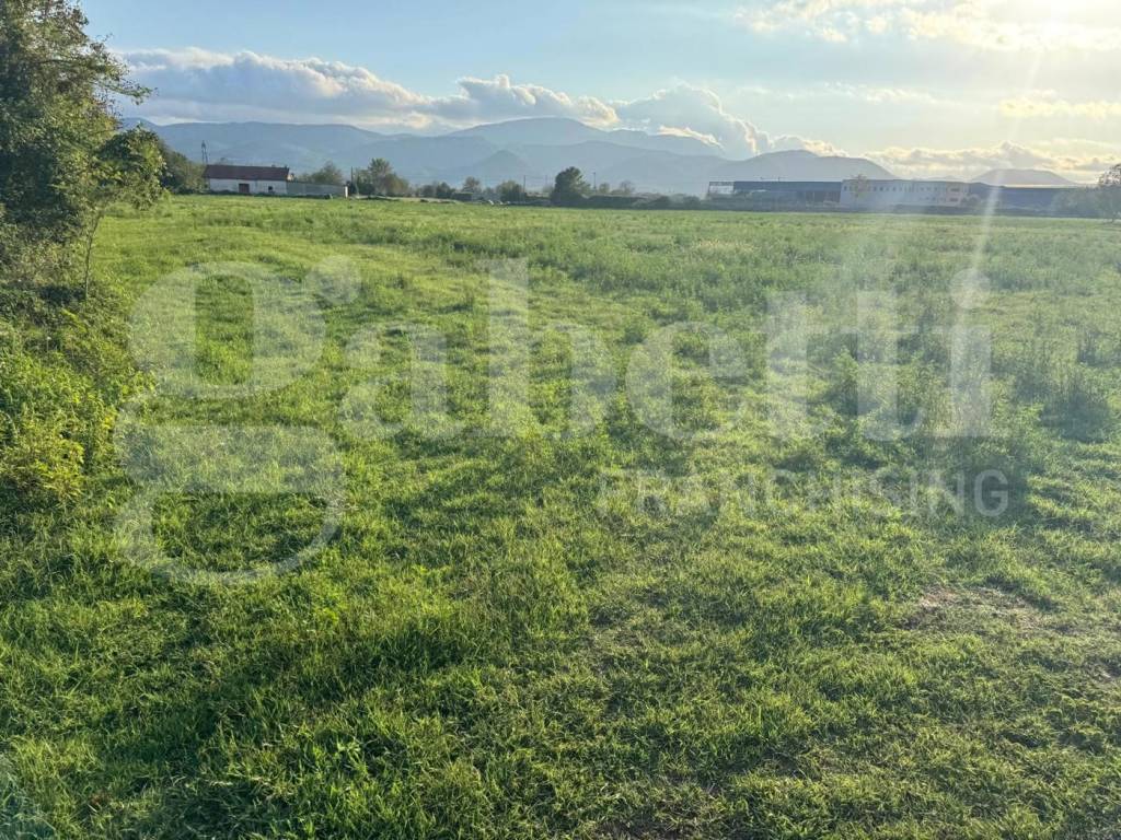 Terreno a Alife in Via Comunale Filettone, snc - Foto 4