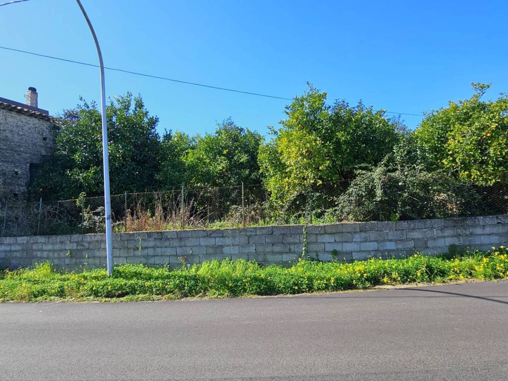 Terreno a Gasperina in via IV Novembre - Foto 2