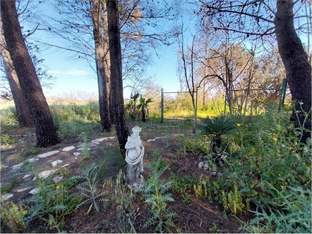 Villa a Muro leccese in SP64 - Foto 3