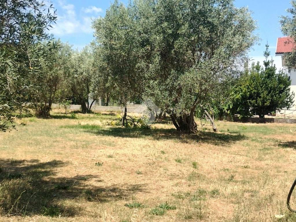 Terreno a Marano principato in Via Bisciglietto - Foto 2