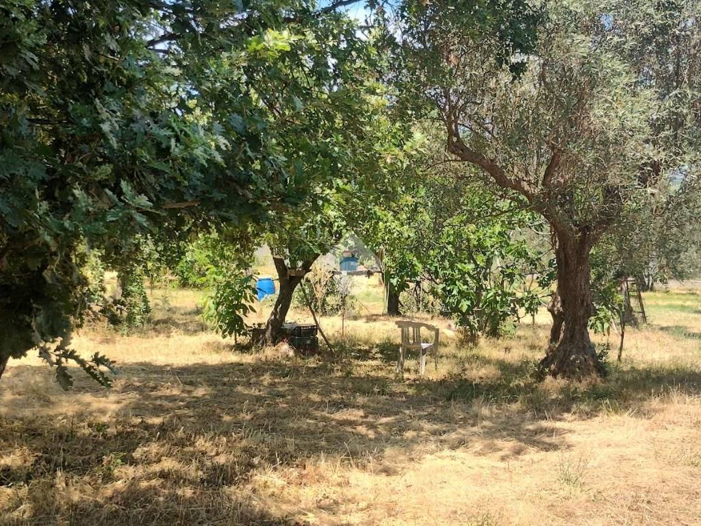 Terreno a Marano principato in Via Bisciglietto - Foto 4