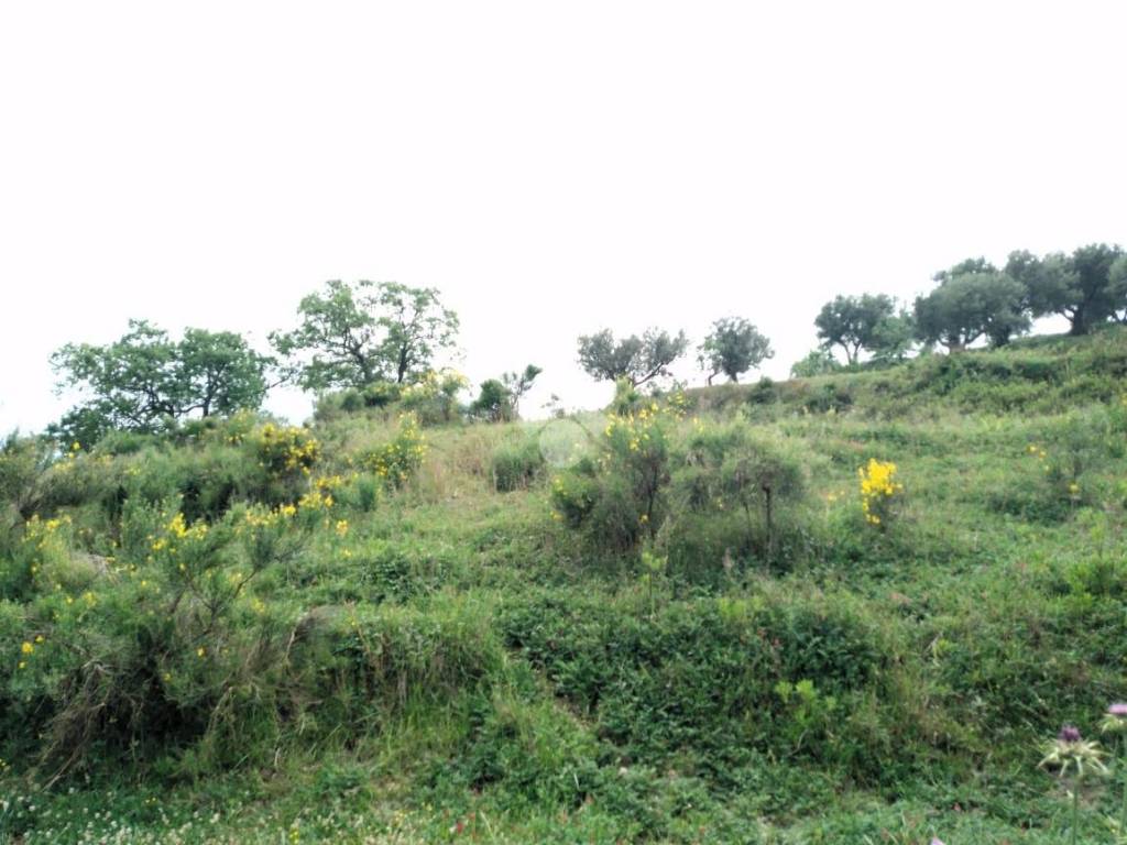 Terreno a Castrolibero in Via Provinciale - Foto 4
