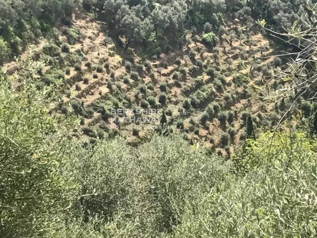 Terreno a Forte dei marmi - Foto 2