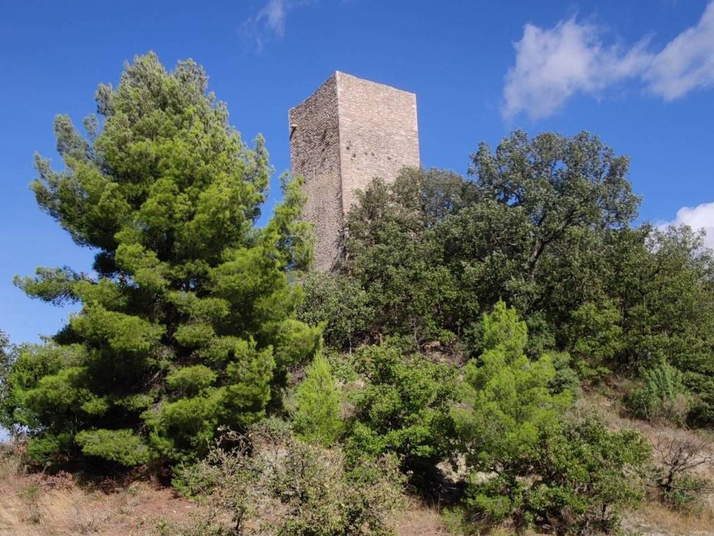 Rustico / casale a Giano dell'umbria in Strada Provinciale di Giano - Foto 2
