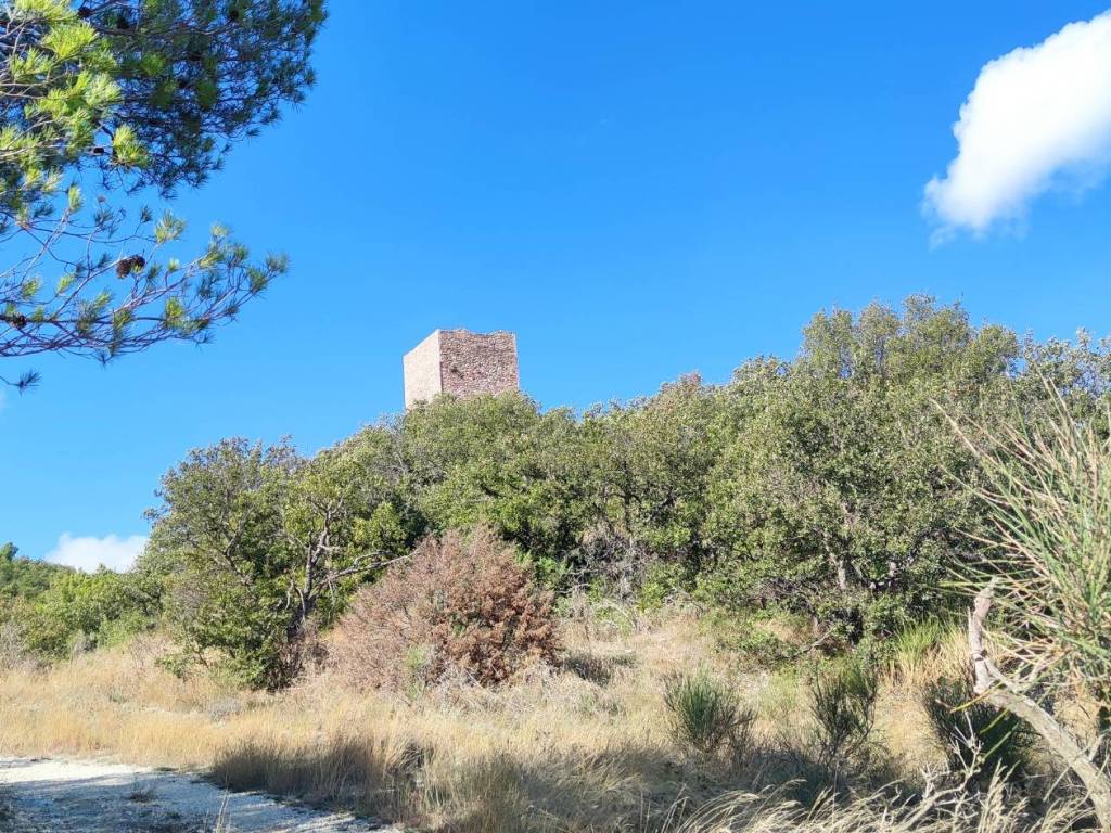 Rustico / casale a Giano dell'umbria in Strada Provinciale di Giano - Foto 5