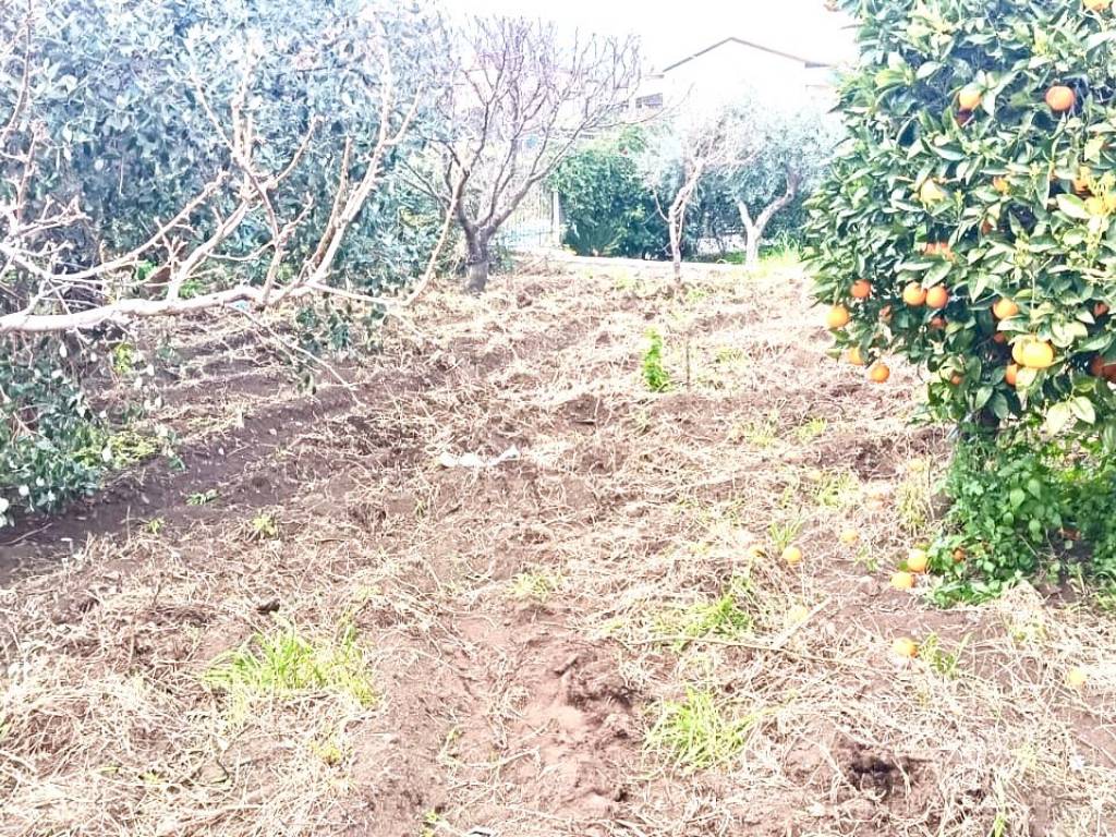 Casa indipendente a Riposto in Centro - Foto 4