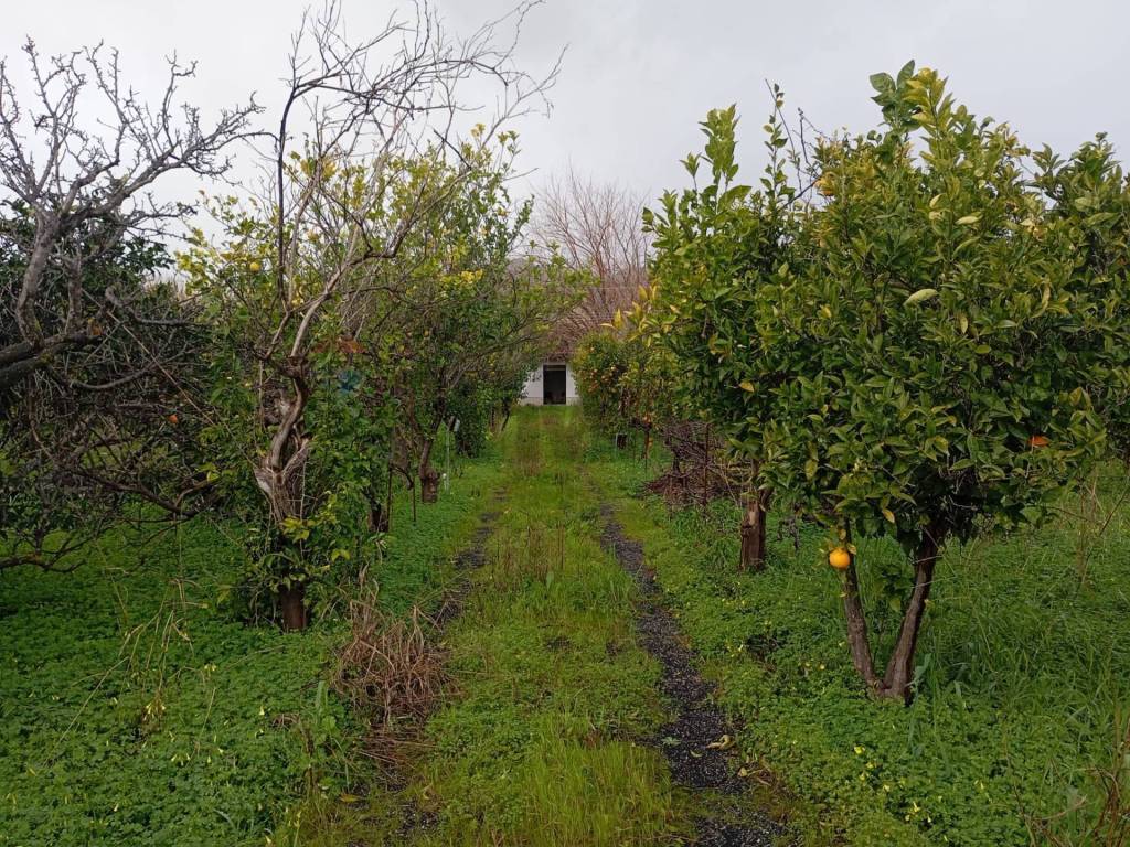 Terreno a Calatabiano in contrada chiarello - Foto 2