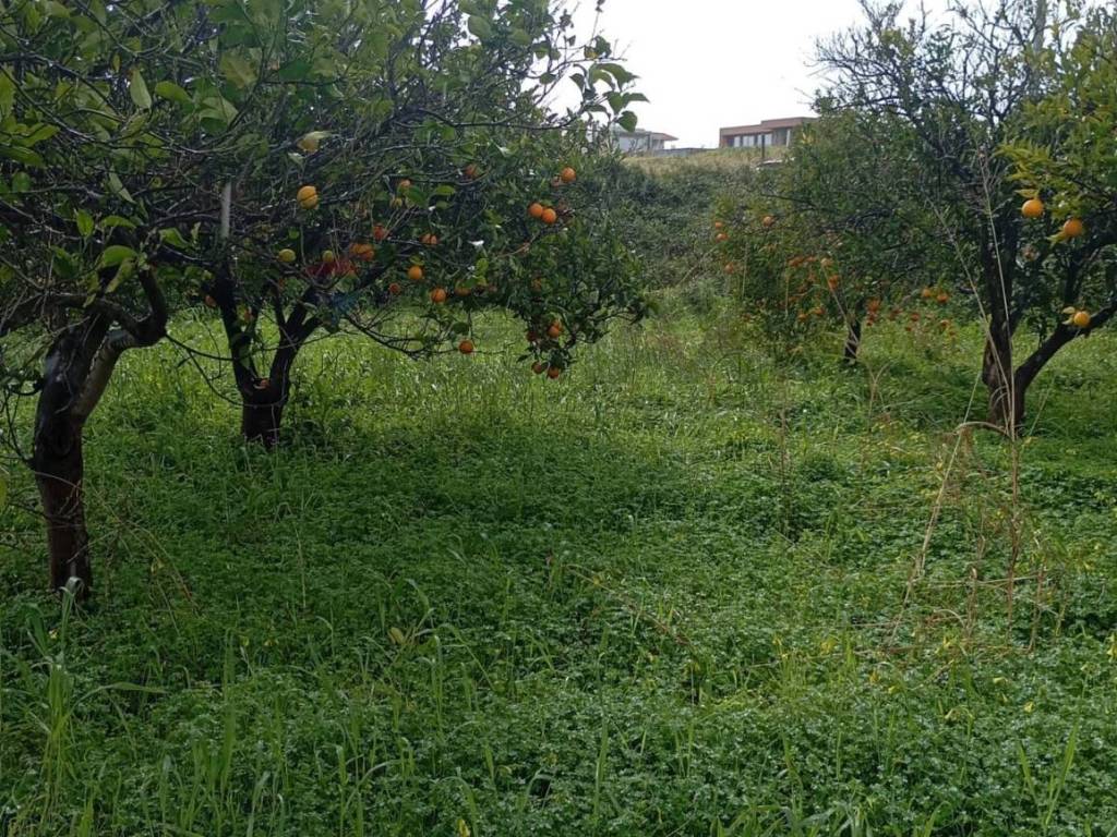Terreno a Calatabiano in contrada chiarello - Foto 3