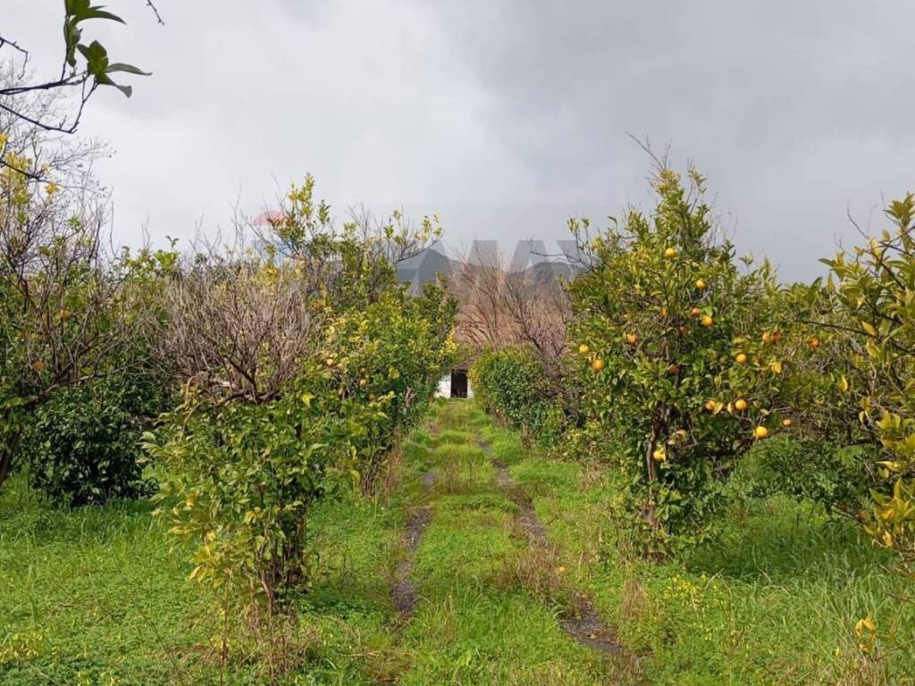 Terreno a Calatabiano in contrada chiarello - Foto 5