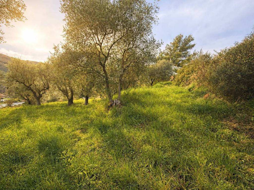 Casa indipendente a Imperia in Via Dolcedo - Foto 2