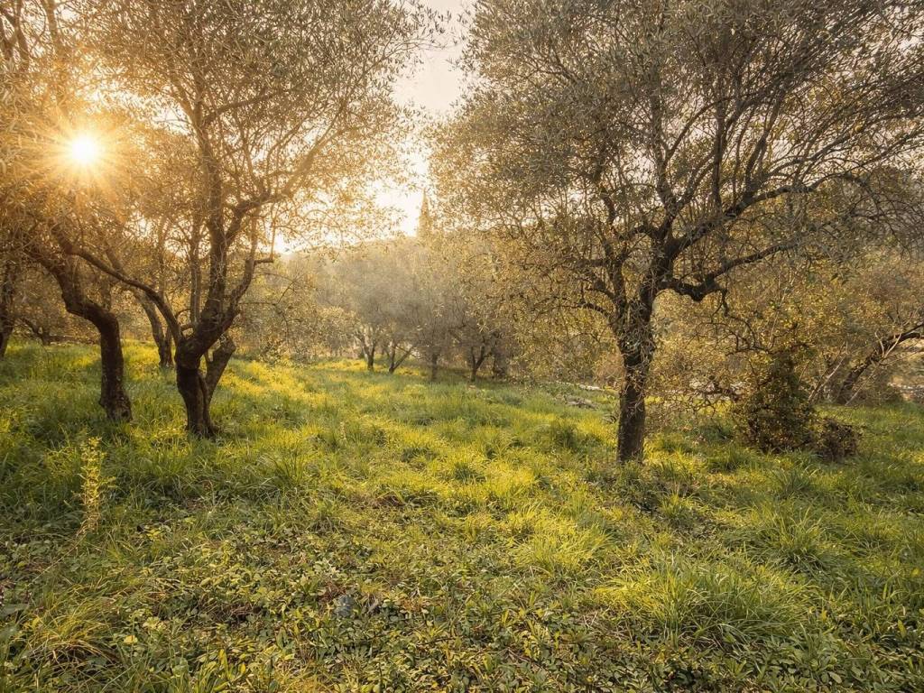 Casa indipendente a Imperia in Via Dolcedo - Foto 5