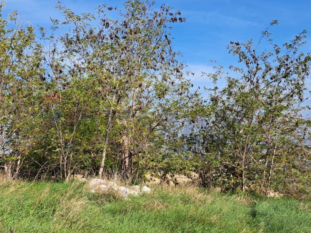 Casa indipendente a Lanciano in C.da Follani - Foto 5