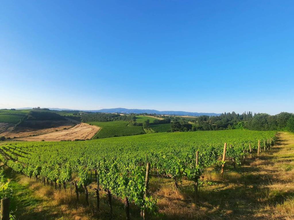 Immobile a Montepulciano in Valiano - Foto 2
