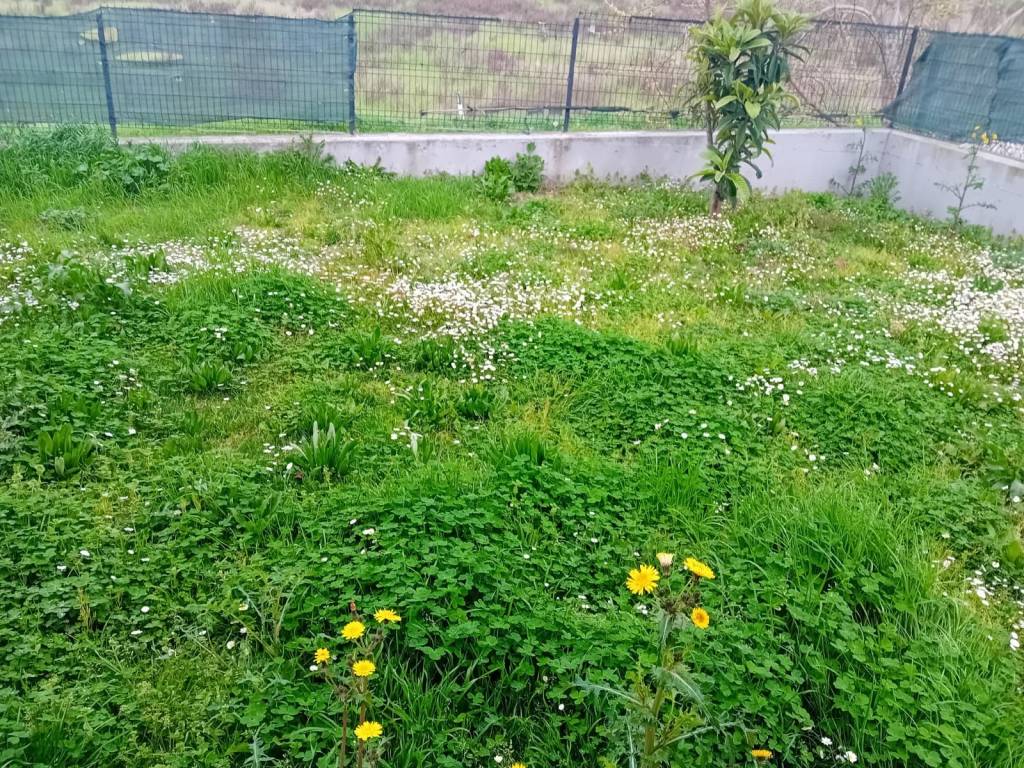 Appartamento a Osimo in Via Enzo Ferrari - Foto 4