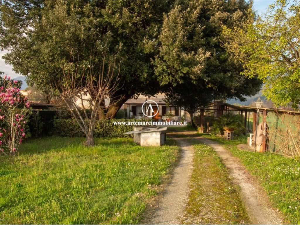 Rustico / casale a Pietrasanta - Foto 4