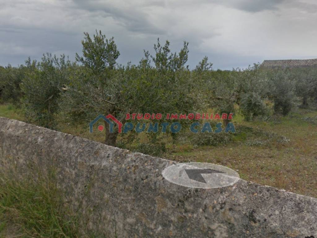 Terreno a Trapani in Strada Immacolatella, 11 - Foto 3