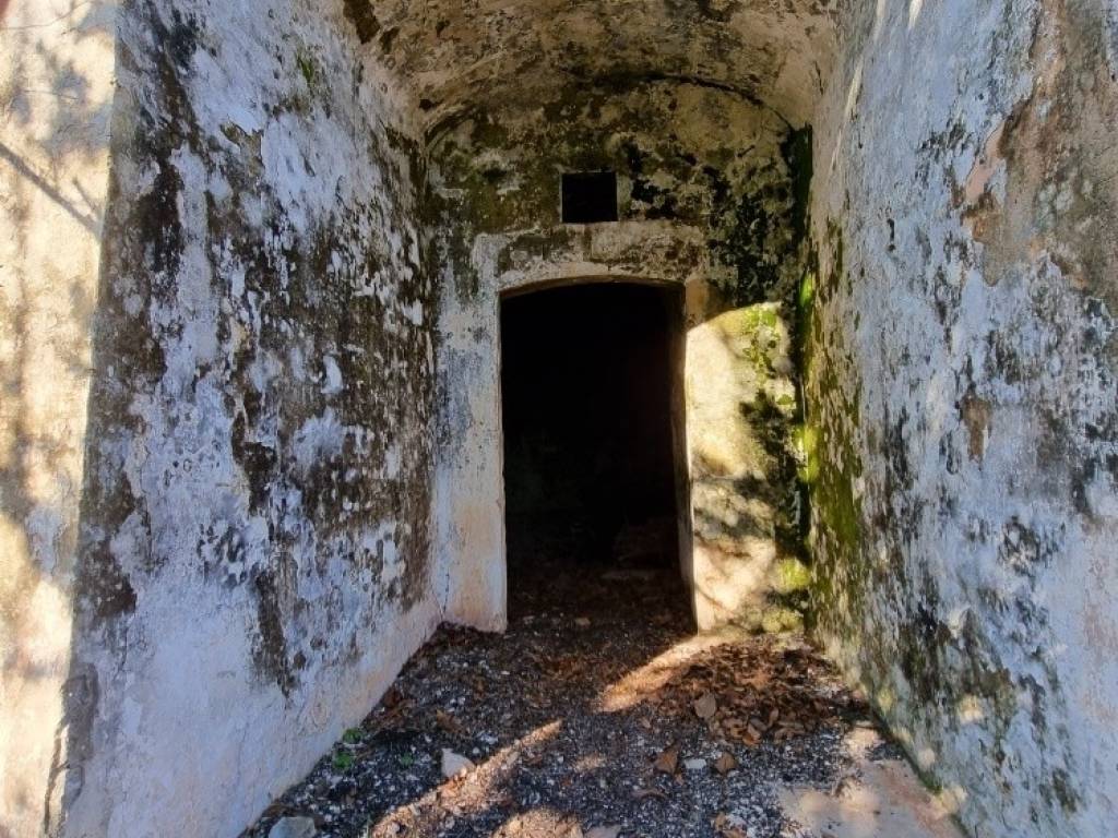 Rustico / casale a Ostuni - Foto 4