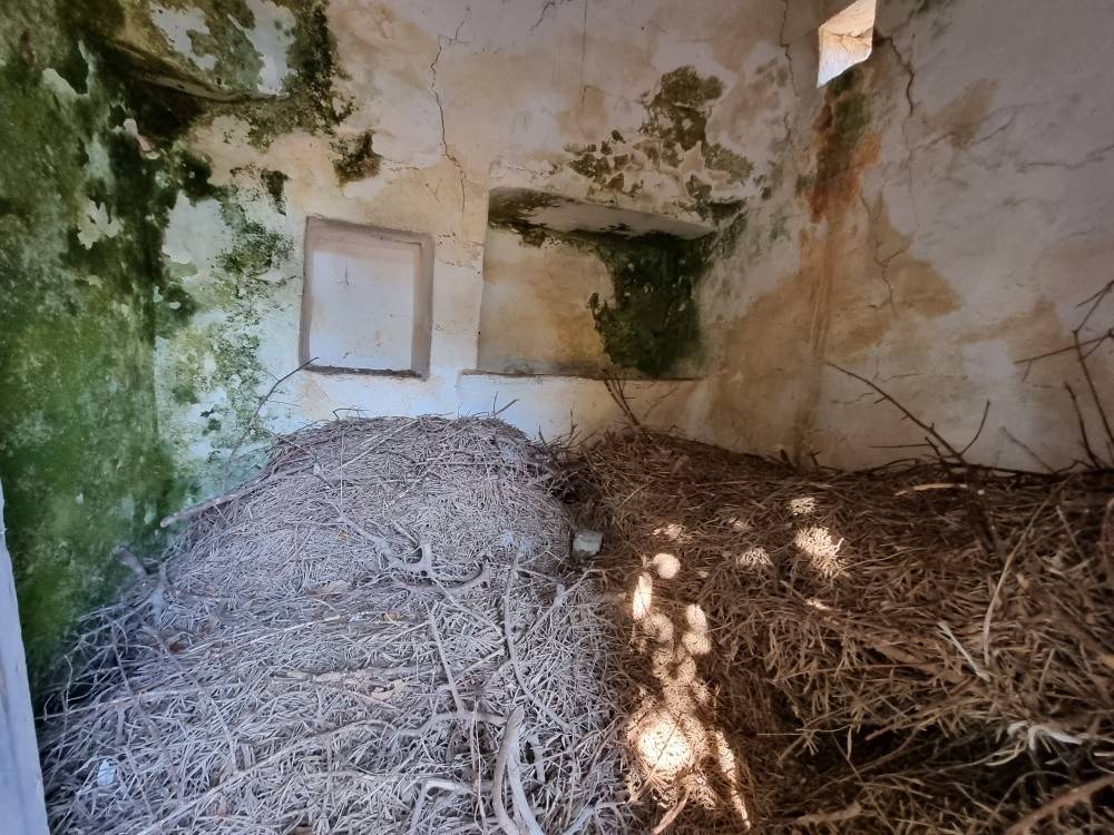 Rustico / casale a Ostuni - Foto 5