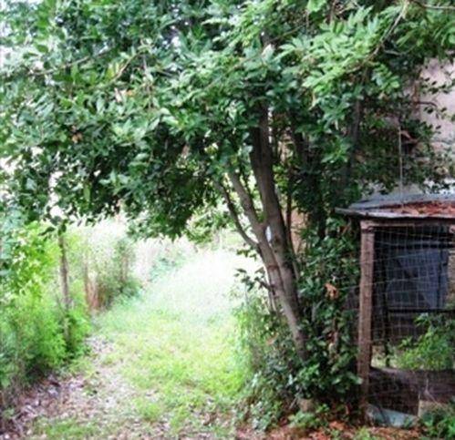 Appartamento a Pitigliano - Foto 2