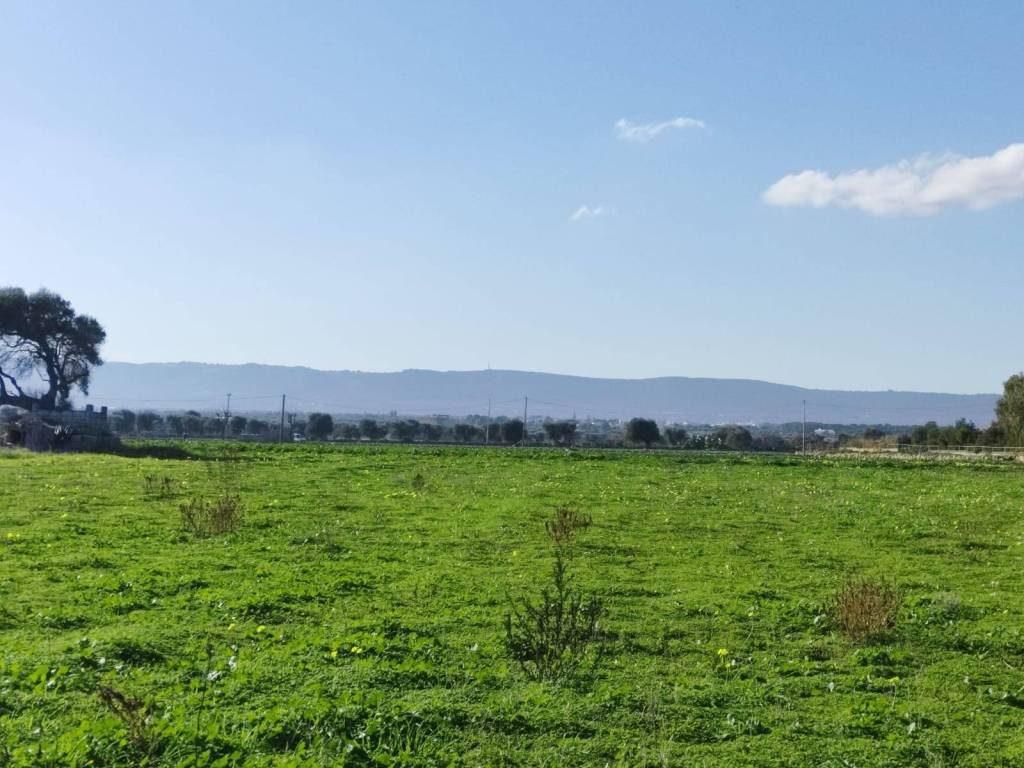 Terreno a Monopoli in Contrada Capitolo - Foto 2