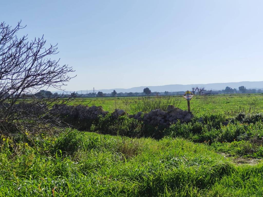 Terreno a Monopoli in Contrada Capitolo - Foto 3