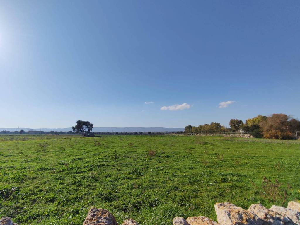 Terreno a Monopoli in Contrada Capitolo - Foto 4