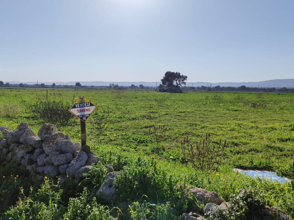 Terreno a Monopoli in Contrada Capitolo - Foto 5