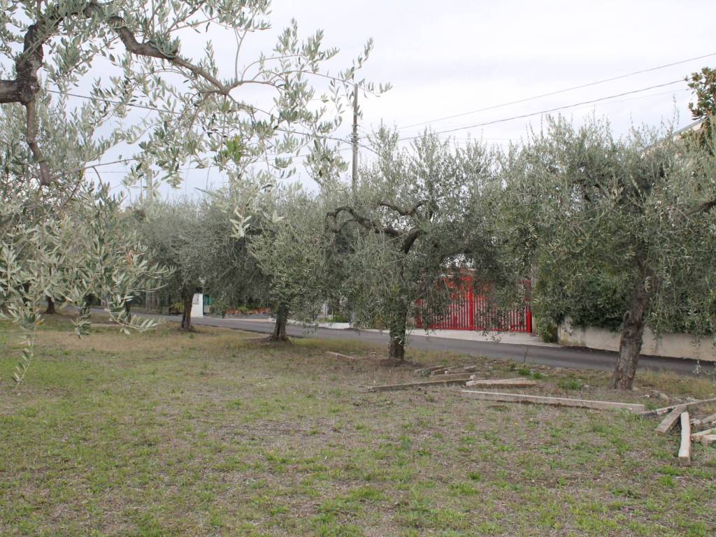 Terreno a Lanciano in Via Santa Croce - Foto 3