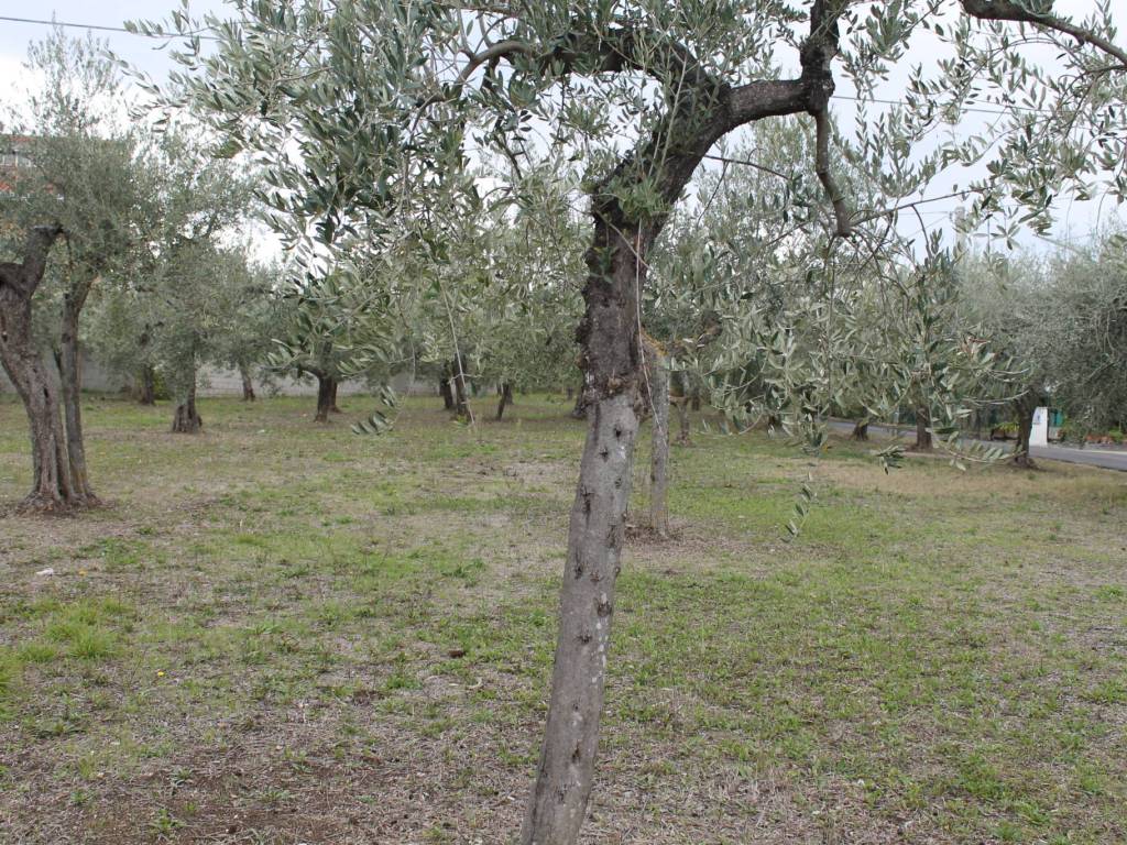 Terreno a Lanciano in Via Santa Croce - Foto 4