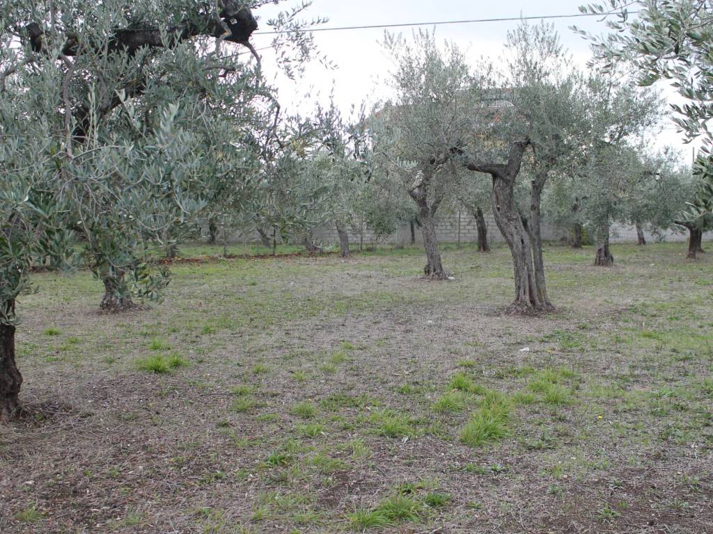 Terreno a Lanciano in Via Santa Croce - Foto 5
