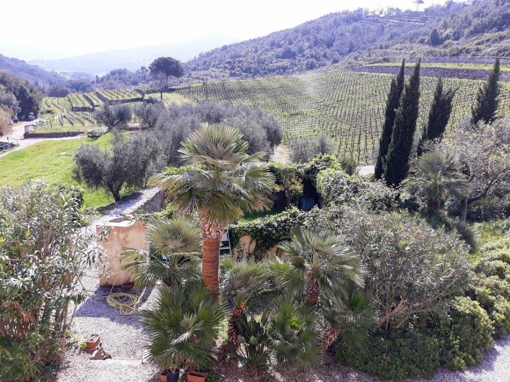 Villa a Portoferraio in Località Biodola - Foto 5