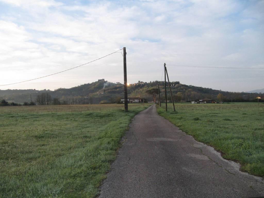Terreno a Paliano in Contrada Colle Canino 2 - Foto 2