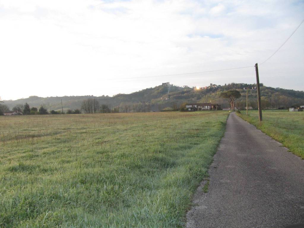 Terreno a Paliano in Contrada Colle Canino 2 - Foto 3