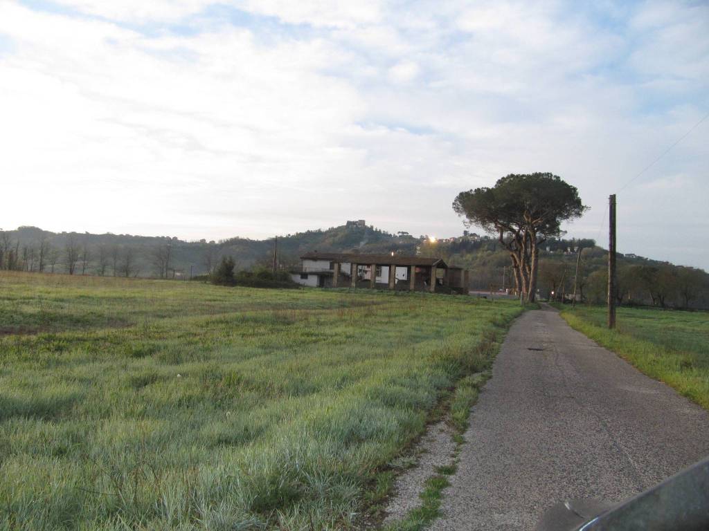 Terreno a Paliano in Contrada Colle Canino 2 - Foto 5