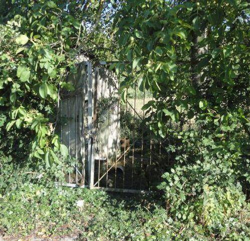 Appartamento a Isernia - Foto 3