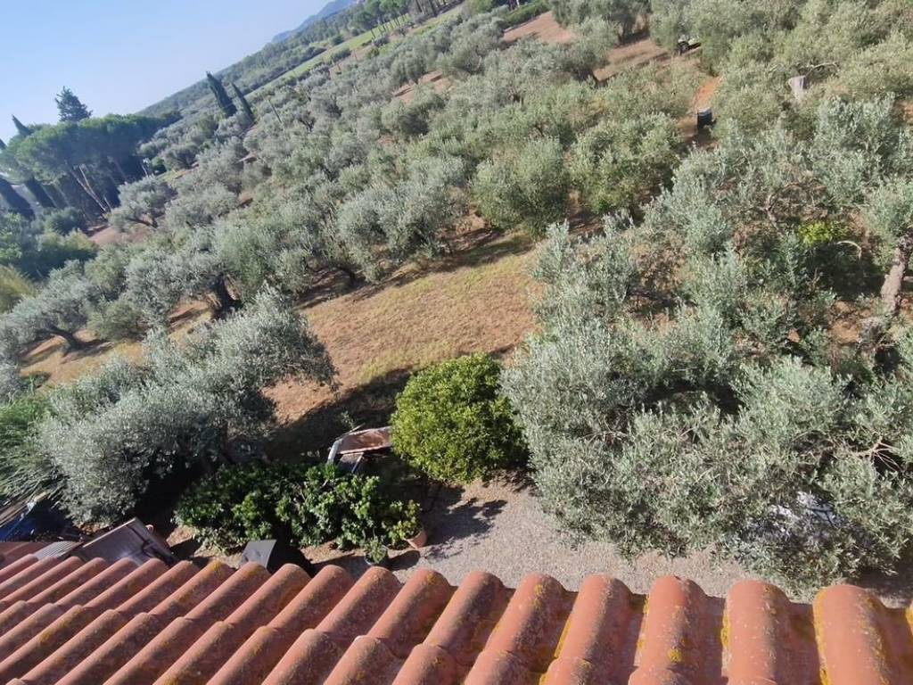 Villa a Orbetello - Foto 5