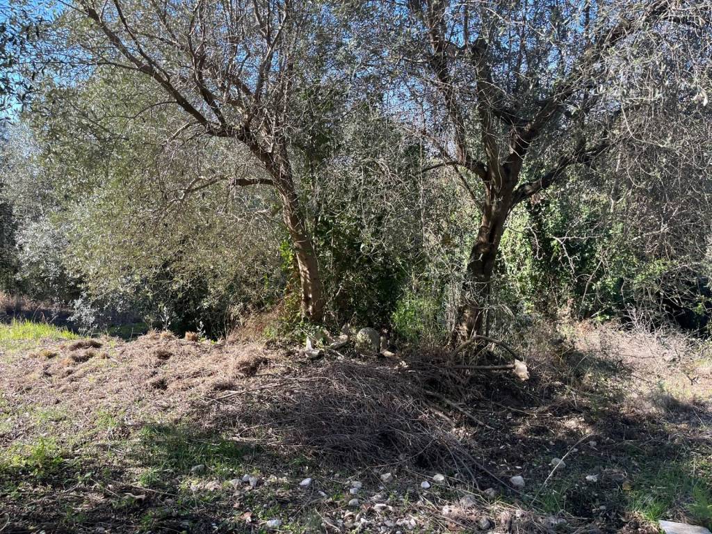 Terreno a Maddaloni in Via Libertà - Foto 5