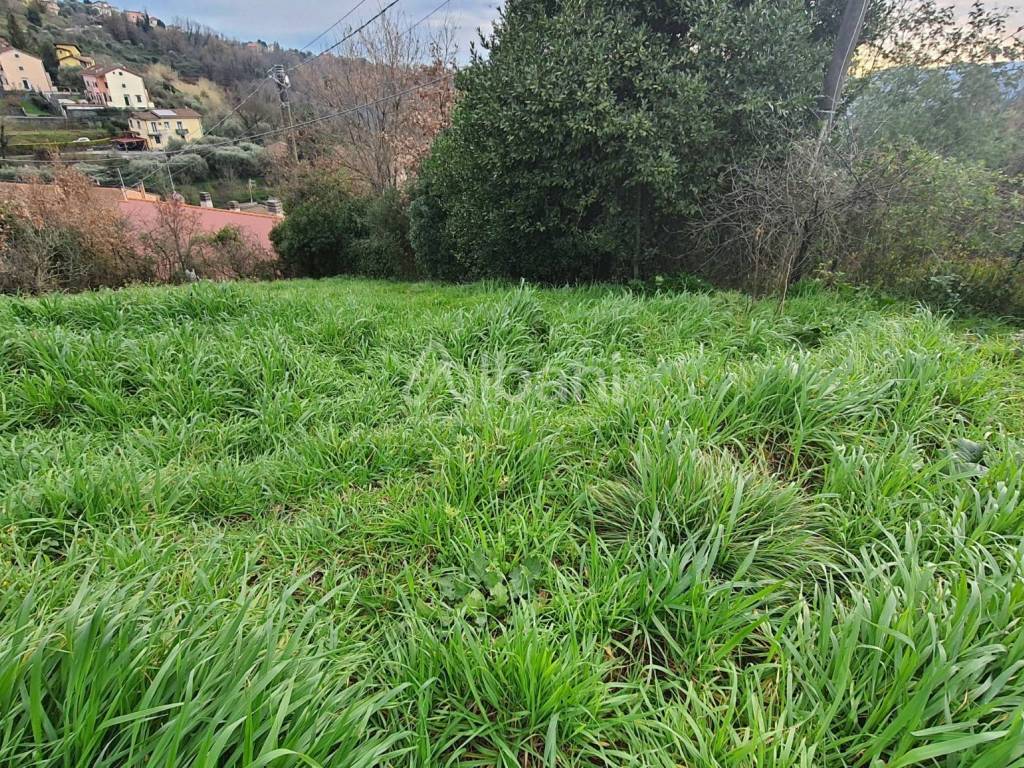 Terreno a Vezzano ligure - Foto 3