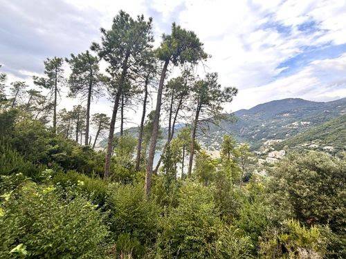 Villa a Bonassola - Foto 2